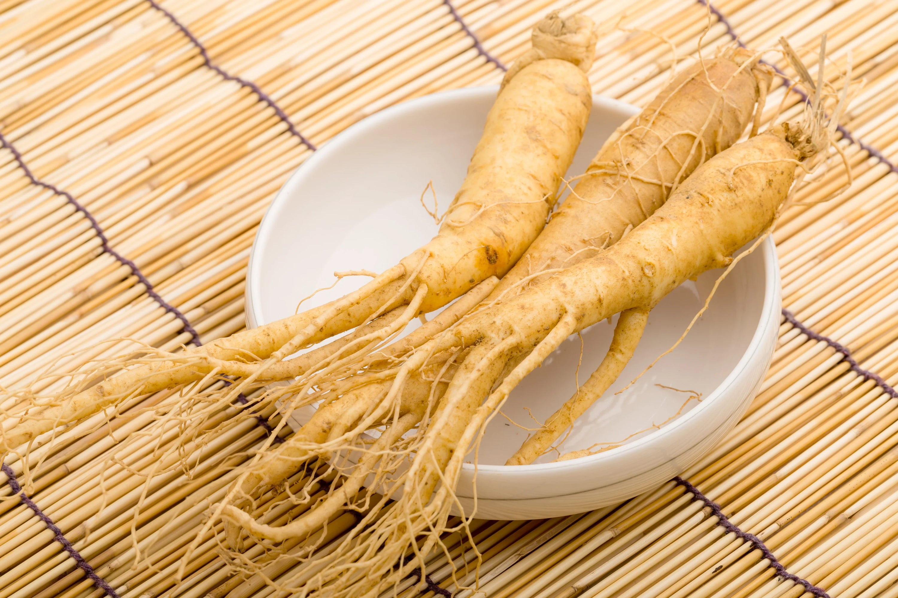 Ginseng Coreano: energia, longevità e bellezza